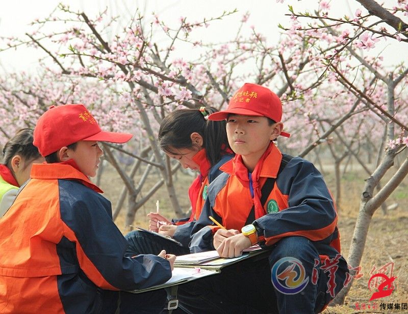 3月19日长虹路小学和松鹤路小学的小记者走进沁心园桃花林，进行采风  本报记者苗樱子 摄