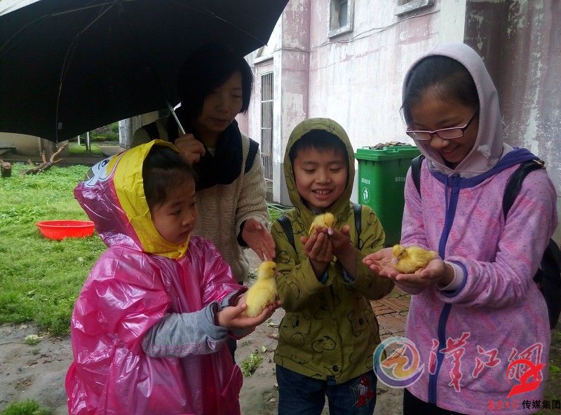 4月17日，襄报学堂超级小记者来到襄阳动物园，当起了“小小饲养员” (2)